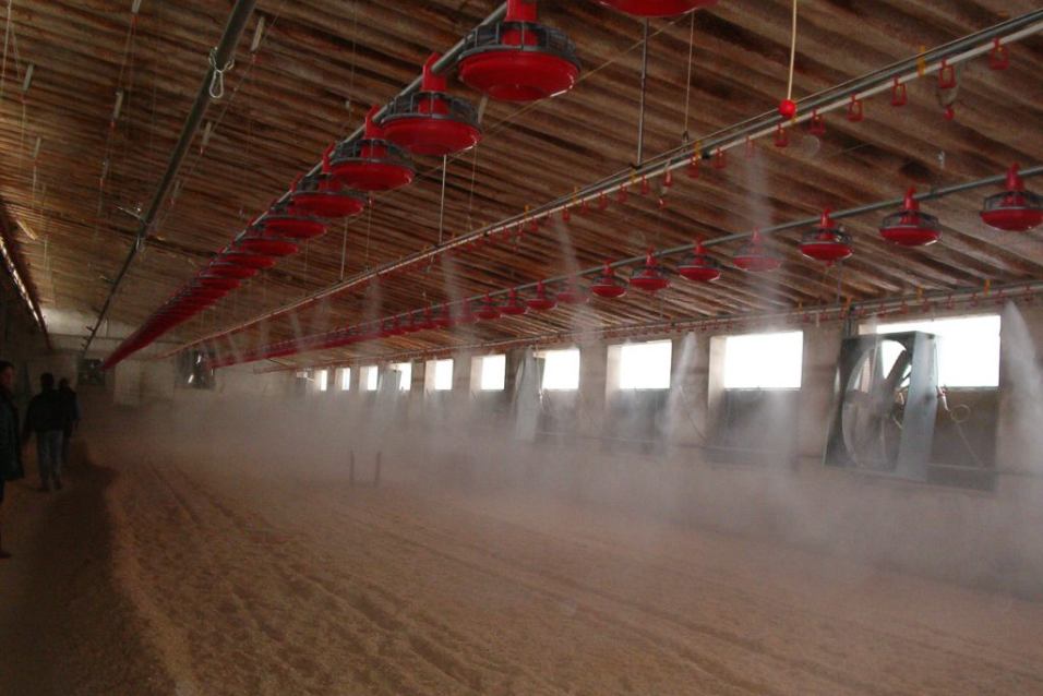 Spray nozzles nebulizer Dispi Spray nozzles nebulizer Dispi